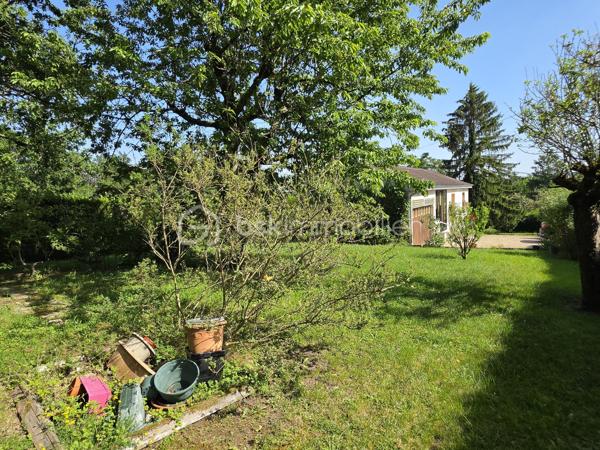 Située sur les hauteurs de Pommeuse, découvrez cette charmante maison de plain-pied d'environ 55 m², implantée sur une belle parcelle arborée de 1 197 m².

La maison se compose d'un sas d'entrée, d'une spacieuse chambre d'environ 18 m², d'un séjour lumineux de 24 m² agrémenté d'une cheminée à foyer fermé, d'une petite cuisine ainsi que d'une salle d'eau avec WC.

Elle est édifiée en partie sur vide sanitaire et dispose également d'un sous-sol d'environ 25 m² offrant un espace de stockage appréciable.

Un garage attenant avec mezzanine complète l'ensemble et permet un rangement supplémentaire.

À l'extérieur, vous profiterez d'un beau jardin arboré, idéal pour les amoureux de nature et d'espaces verts.

Équipements :

* Chauffage, production d'eau chaude et cuisson alimentés par citerne gaz.
* Menuiseries en double vitrage.

À noter : assainissement individuel par fosse septique non conforme.

Une maison pleine de potentiel, idéale pour une résidence principale, un pied-à-terre ou un projet de rénovation.