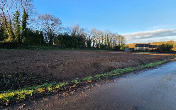 Terrain à vendre    Lanneuffret