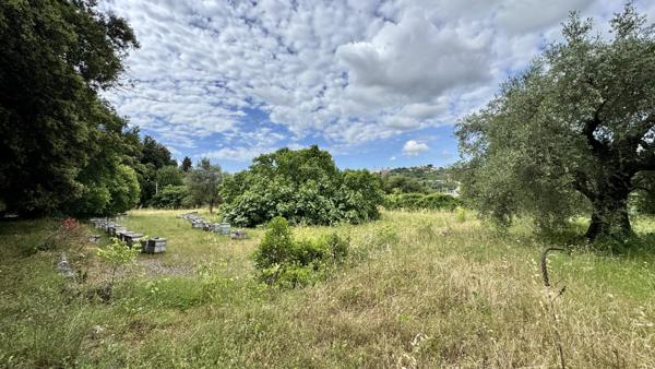 Grasse (06130) Maison à rénover sur vaste terrain constructible – Un potentiel rare !