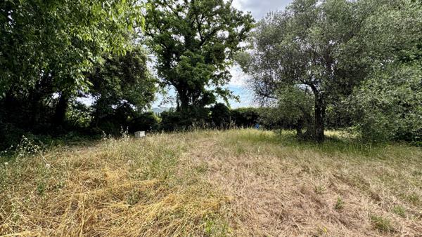 Grasse (06130) Maison à rénover sur vaste terrain constructible – Un potentiel rare !