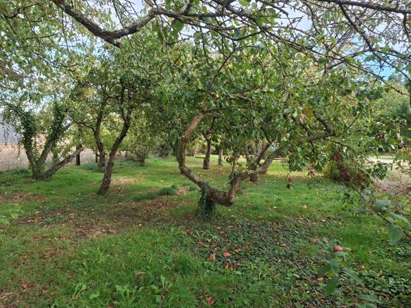 Maison à vendre 4 pièces AMBRIERES LES VALLEES (53)