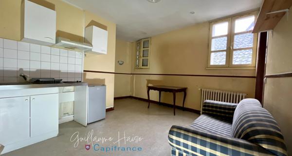 Immeuble à vendre LEVROUX (36)