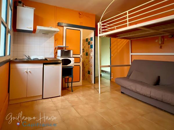 Immeuble à vendre LEVROUX (36)