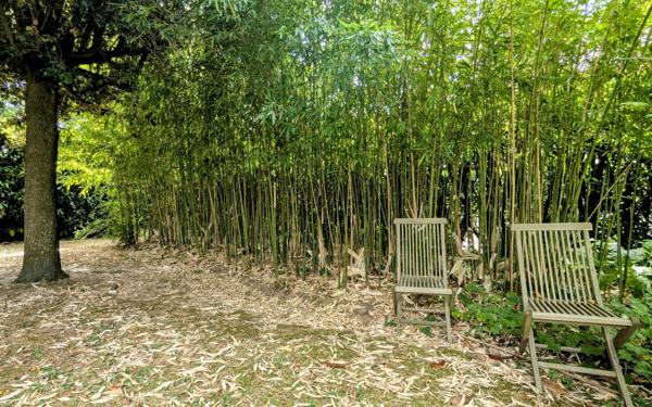 Maison à vendre    7 pièces • 205 m2 Lagny-sur-Marne