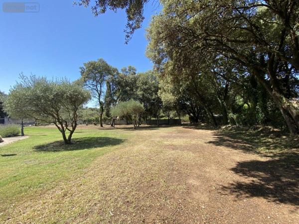 Terrain à Batir à vendre à Beaulieu dans l'Hérault (34160), ref : 34012-710