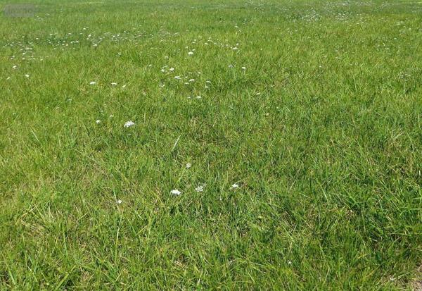 Terrain à Batir à vendre à Sarrigné dans le Maine-et-Loire (49800), ref : 49013-1963