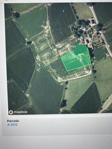 Belle terre agricole sur terrain plat