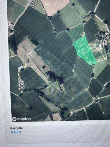 Belle terre agricole sur terrain plat
