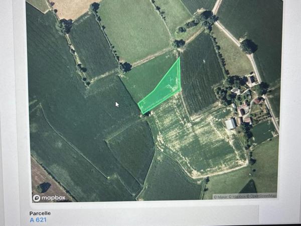 Belle terre agricole sur terrain plat