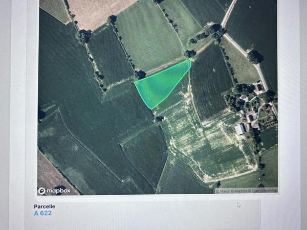 Belle terre agricole sur terrain plat