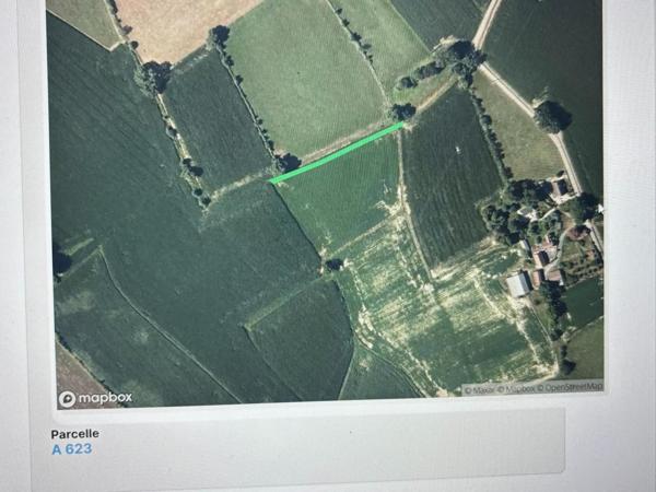 Belle terre agricole sur terrain plat