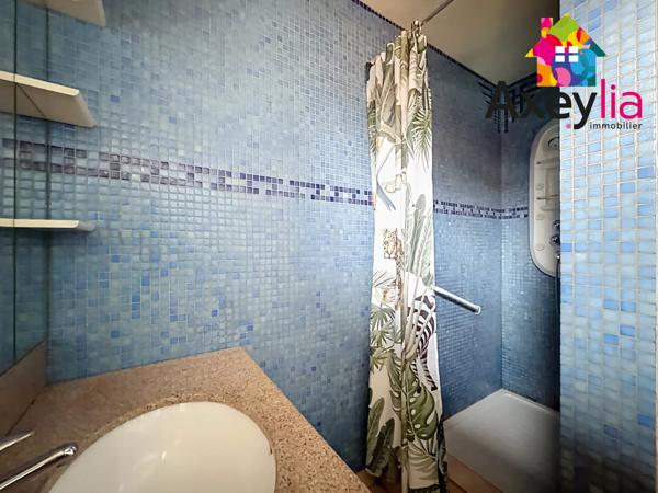 Roanne (42300) A VENDRE - ROANNE - ENSEMBLE IMMOBILIER AVEC DEUX MAISONS D'HABITATION ET TERRAIN