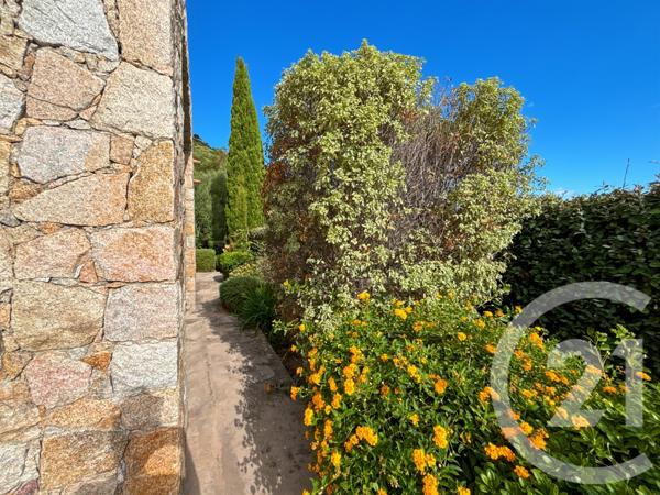 Maison à vendre  8 pièces - 178 m2 SANTA REPARATA DI BALAGNA - 202