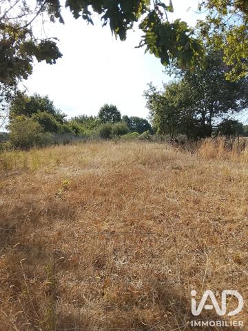Terrain à vendre 2 400 m² Soulaines-sur-Aubance