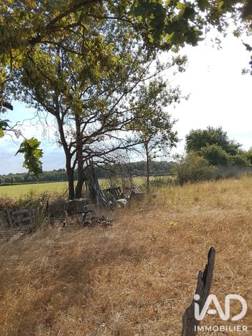 Terrain à vendre 2 400 m² Soulaines-sur-Aubance