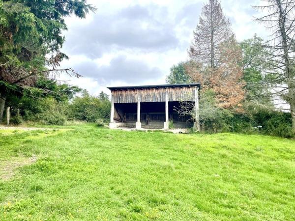 Maison à vendre à Saint-Alban-sur-Limagnole en Lozère (48120), ref : 48032-189