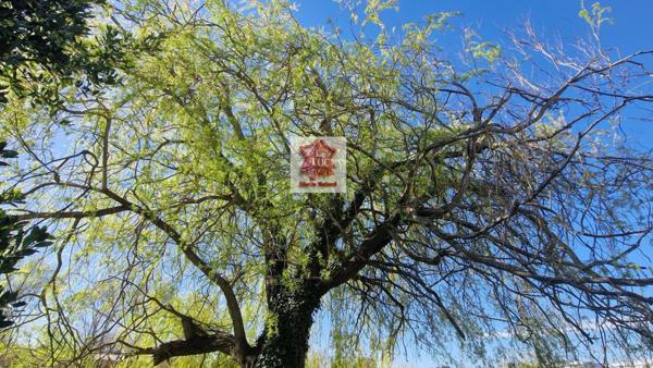 mas de 138 m² habitables sur 3732 m² de terrain Saint-Paul-Trois-Châteaux (26130)