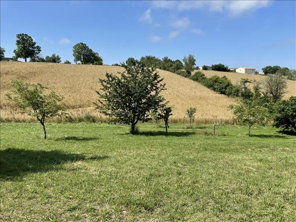 Terrain à vendre |  Cadeilhan |  2308 m²