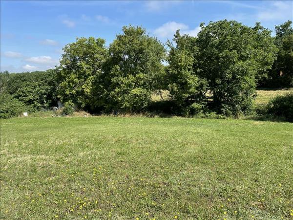 Terrain à vendre |  Cadeilhan |  2308 m²