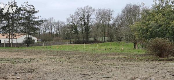 Terrain viabilisé de 460 m²