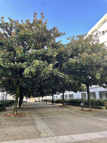 Appartement 1 pièce(s) 29.44 m²