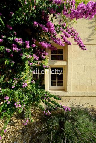 Maison 40 pièces - 2900 m²