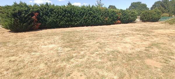 Terrain à bâtir entièrement plat de plus de 800 m2 avec une façade de 24 m