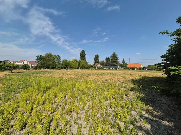 Terrain à vendre Verton (62180)
