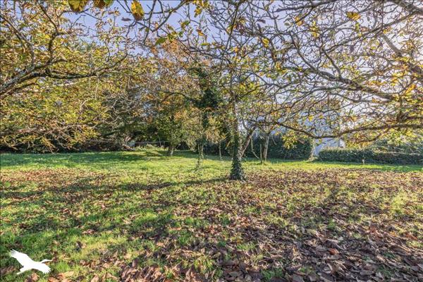 Maison à vendre |  Marennes |  3 pièces | 78 m²