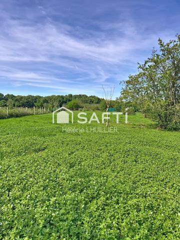 T6 de 105m² avec terrain naturel de 3789m² à Plaisance-du-Touch