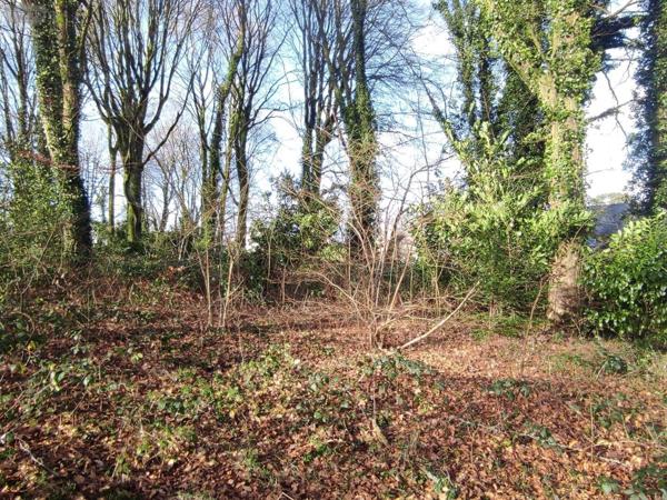 Maison à vendre à Gouesnou dans le Finistère (29850), ref : 041/216