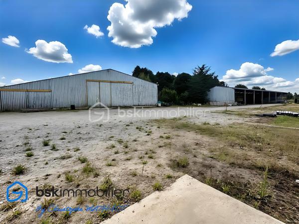 A quelques kilomètres de Quimperlé,📍 Localisation : BANNALEC (29)

Nous vous proposons à la vente un ensemble immobilier industriel rare, d’une surface totale d’environ 1 700 m², implanté sur un terrain de 6 230 m², offrant de nombreuses possibilités d’usages professionnels, artisanaux ou de loisirs.

🔹 Composition de l’ensemble :
Showroom / magasin de 195 m²
Bureaux de 110 m²
Atelier / stockage de 920 m², divisé en 5 parties (de 80 à 400 m²), chacune avec porte de quai ou accès poids lourd
Palan 2 tonnes dans l’un des ateliers
Vestiaires avec douches et sanitaires (20 m²)
Hangar semi ouvert de stockage de 440 m²
Parking bitumé avec une capacité minimale de 40 places

✅ Atouts :
Terrain plat avec large accès
Multiples entrées, zones de manœuvre et quais
Toiture en bon état
Parking clientèle et personnel
Possibilité de division ou d’aménagement intérieur
Hauteur moyenne de 6m

🔧 Idéal pour :
Garage et/ou concession
Transport, stockage, entreprise artisanale
Projet de réhabilitation en activités de loisirs : Laser game, escape game, padel indoor, tennis couvert, etc.