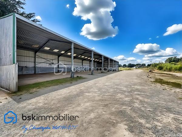 A quelques kilomètres de Quimperlé,📍 Localisation : BANNALEC (29)

Nous vous proposons à la vente un ensemble immobilier industriel rare, d’une surface totale d’environ 1 700 m², implanté sur un terrain de 6 230 m², offrant de nombreuses possibilités d’usages professionnels, artisanaux ou de loisirs.

🔹 Composition de l’ensemble :
Showroom / magasin de 195 m²
Bureaux de 110 m²
Atelier / stockage de 920 m², divisé en 5 parties (de 80 à 400 m²), chacune avec porte de quai ou accès poids lourd
Palan 2 tonnes dans l’un des ateliers
Vestiaires avec douches et sanitaires (20 m²)
Hangar semi ouvert de stockage de 440 m²
Parking bitumé avec une capacité minimale de 40 places

✅ Atouts :
Terrain plat avec large accès
Multiples entrées, zones de manœuvre et quais
Toiture en bon état
Parking clientèle et personnel
Possibilité de division ou d’aménagement intérieur
Hauteur moyenne de 6m

🔧 Idéal pour :
Garage et/ou concession
Transport, stockage, entreprise artisanale
Projet de réhabilitation en activités de loisirs : Laser game, escape game, padel indoor, tennis couvert, etc.