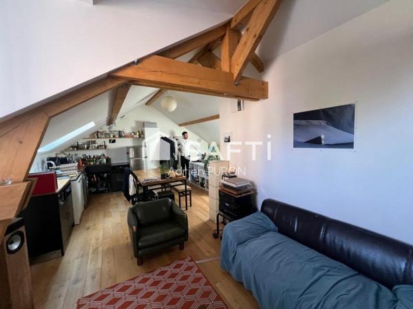 Loft cosy sous mansardes à Pantin