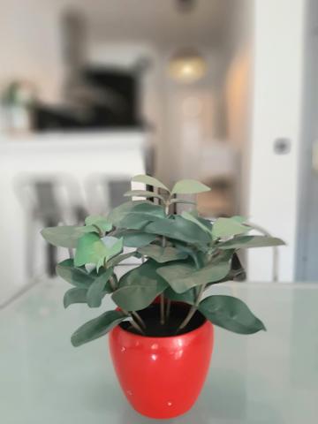 Appartement 2 pièces - 46 m²