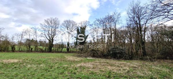 Terrain non constructible Nozay 2500 m²