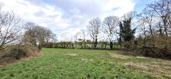 Terrain non constructible Nozay 2500 m²