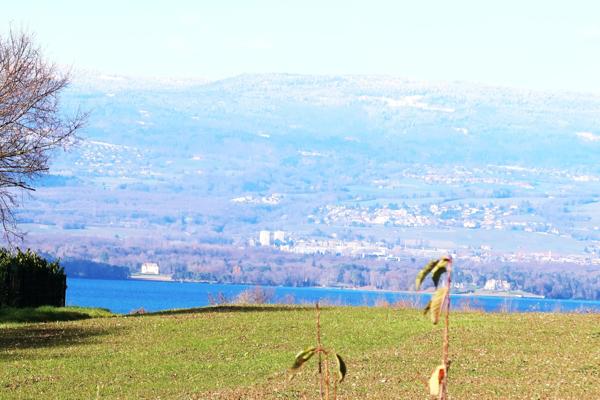 74140 MESSERY. PROX COMMERCES.TB VILLA F6 DE 180 m²HAB AVEC PISCINE SUR 2000m²DE TERR PLAT ET ENSOLEIL.