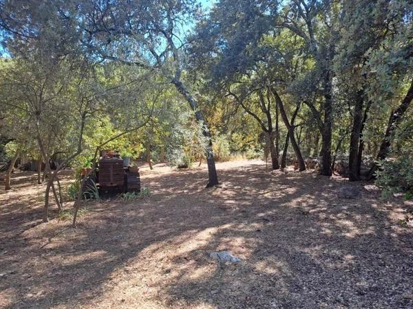 Vente Maison 2 pièces 31 m2 à Taradeau