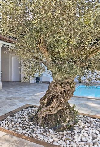 Maison à vendre 9 pièces 305 m² Pradines
