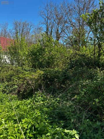 Achat - Terrain à bâtir Dole 39100 500 m 2 660 m 2