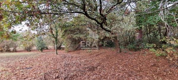 Terrain constructible Le Taillan Médoc 573 m2 - Lotissement - Libre de constructeur