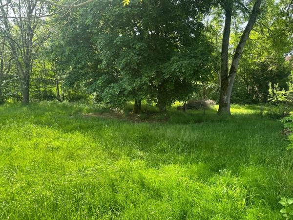 ENSEMBLE DE GRANGES ET TERRES – PLUS DE 7 HECTARES – ENTRE POUILLY-EN-AUXOIS ET SAULIEU