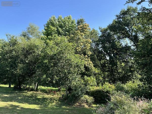 Maison à vendre à Pleuven dans le Finistère (29170), ref : 29014-2976