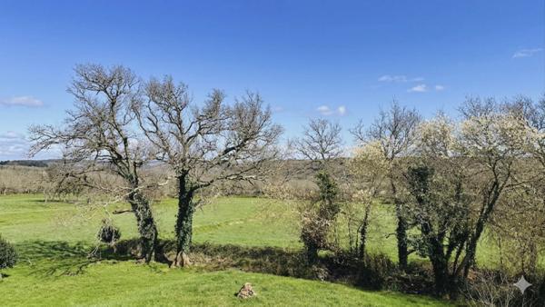 Havre de Paix Contemporain : L’Art de Vivre au Vert