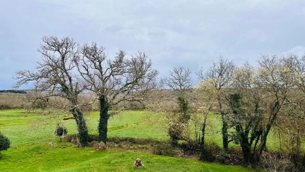 Havre de Paix Contemporain : L’Art de Vivre au Vert