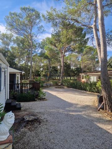 Vente                                                      Terrain
                        
                                         275 m2                     à Fréjus