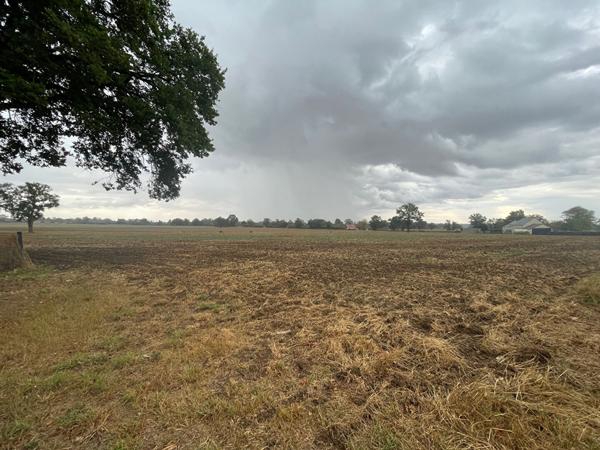 Terrain Tranzault 14475 m2