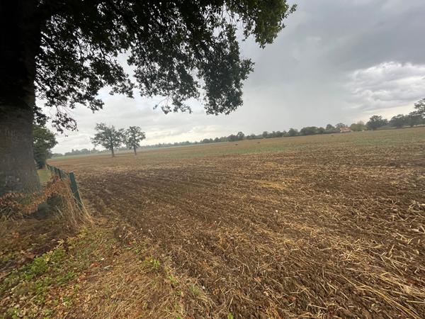 Terrain Tranzault 14475 m2