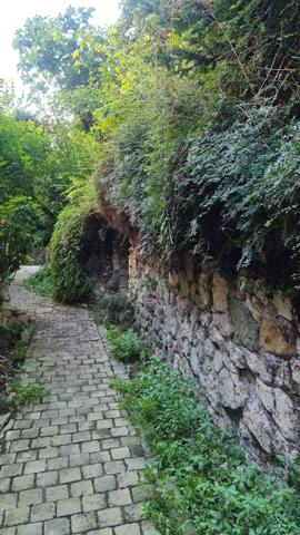 Meulan (78250) Charmant appartement séparable en deux dans un Cadre Verdoyant – Potentiel Locatif Élevé